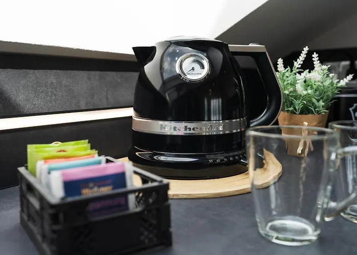 公寓 Bergerhalde *